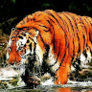 Meet your Posher, Justin